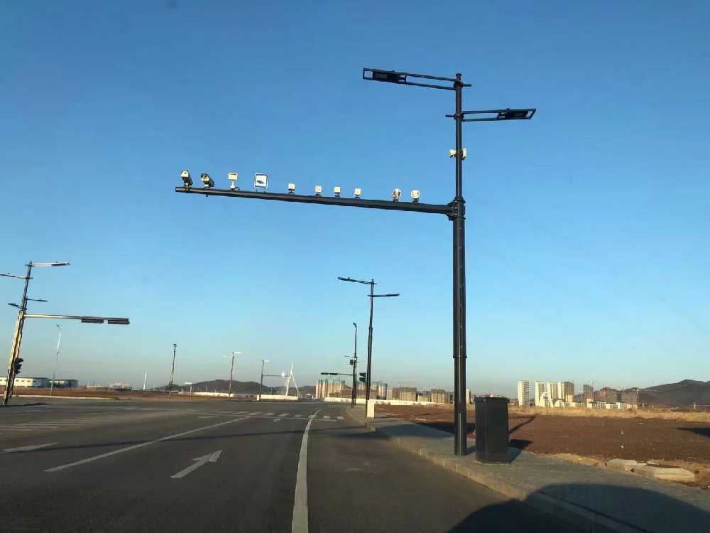 招远市黑龙江佳木斯综合路灯杆项目