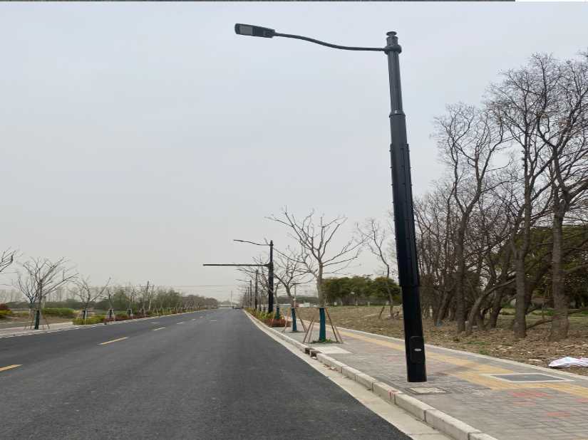 招远市上海综合杆 太阳能路灯工程